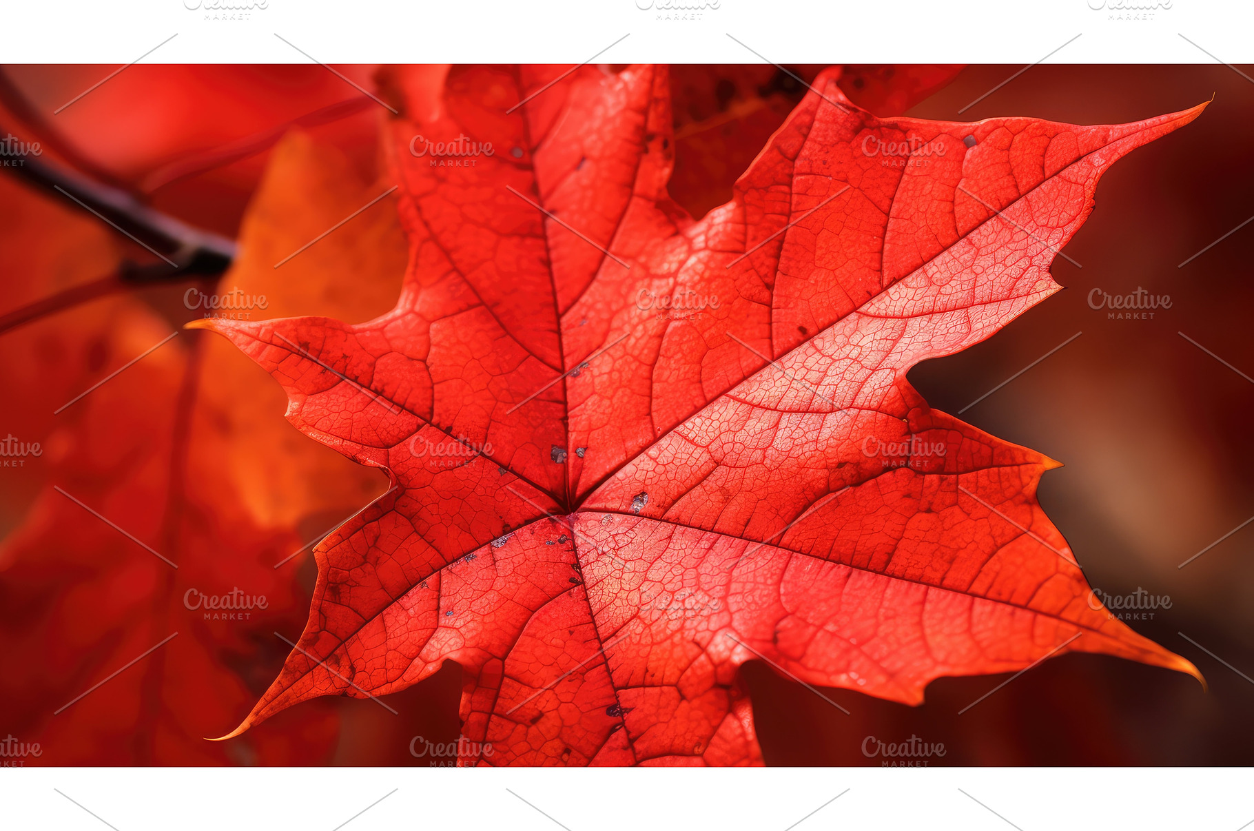leaf foliage texture light close ai, a Nature Photo by pikepicture