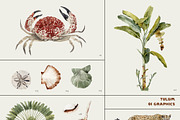 TULUM Textures & Brand design kit, an Object Graphic by Lana Elanor (Thumbnail 4 of 16)