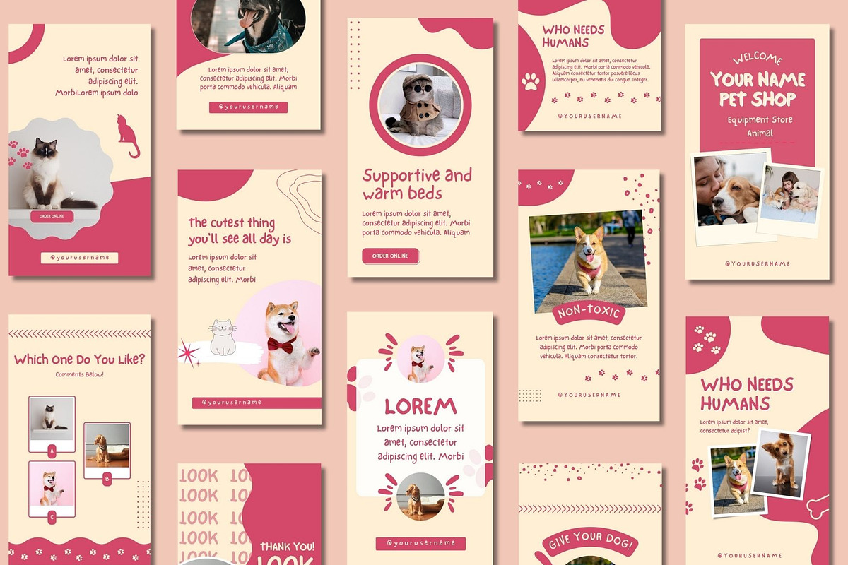 Pet Shop Story Canva Templates, a Templates & Theme by BoontenStudio (Photo 5 of 8)