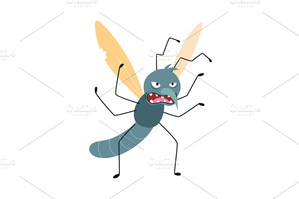 Cartoon mosquito, funny character, an Animal Illustration by the8monkey