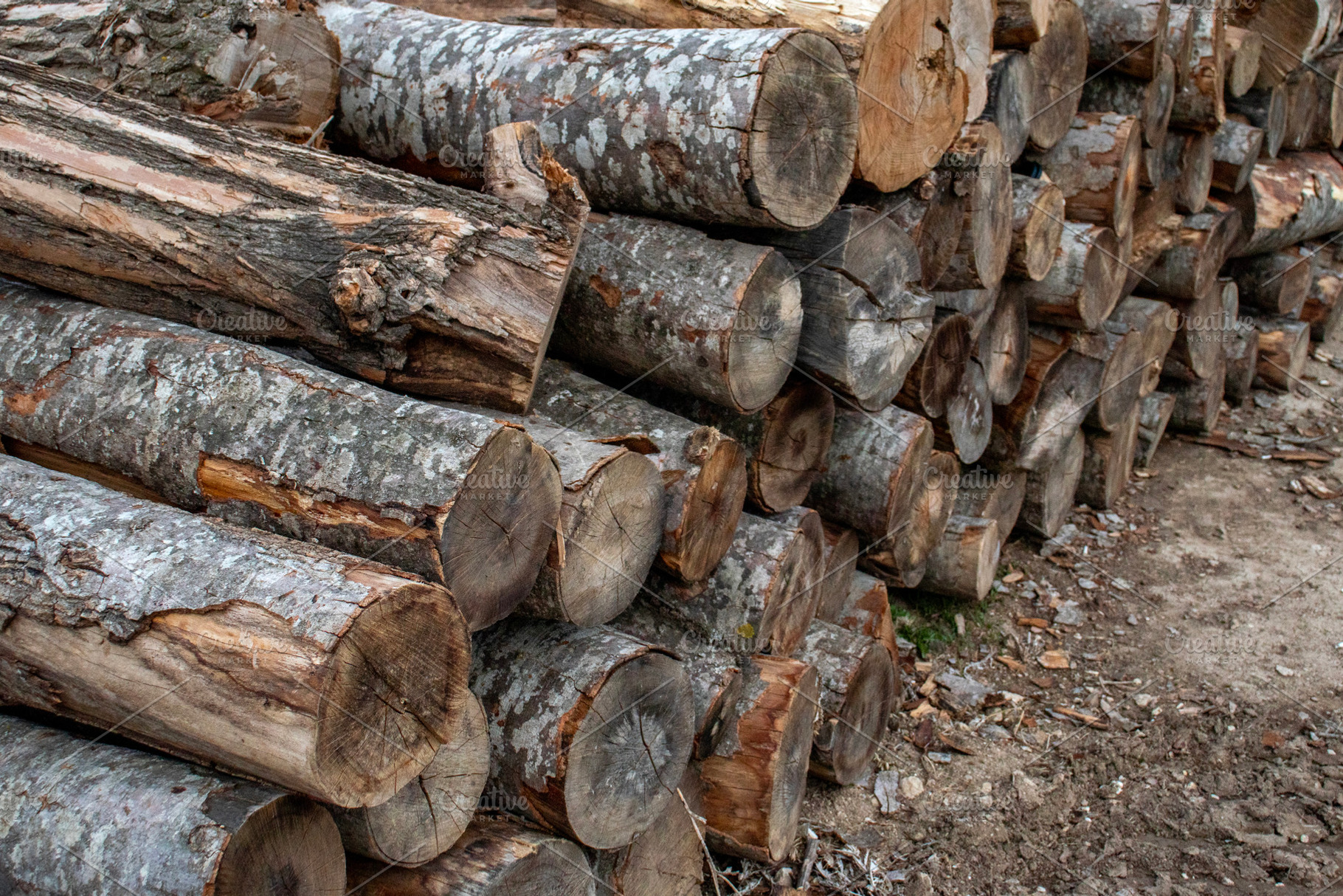Shortened trunks in a pile., a Technology Photo by Schreibikus
