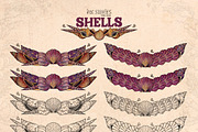 Shells, an Animal Illustration by Ink Stories (Thumbnail 15 of 21)