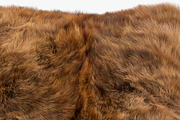 Collection of 38 fur pillows, an Object 3D Model by 3dmitruk (Thumbnail 34 of 112)