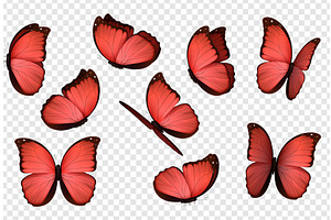 Butterfly Vector. Red Butterflies.