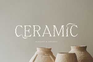 Organic Serif Font