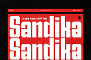 Sandika - Modern Sans Serif Font, a Sans Serif Font by TypeLogue (Thumbnail 1 of 5)