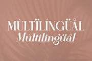 Quella Modern Serif Font, a Serif Font by Storytype Studio (Thumbnail 12 of 15)
