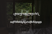 Reliora Kinestio Retro Font, a Serif Font by Mine Type Lab (Thumbnail 7 of 10)