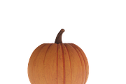 Halloween Pumpkin, a Characters & Person 3D Model by NOMODOL (Thumbnail 10 of 13)