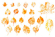 Watercolor Autumn Leaves Stamped, an Object Graphic by Sunny Design (Thumbnail 3 of 3)