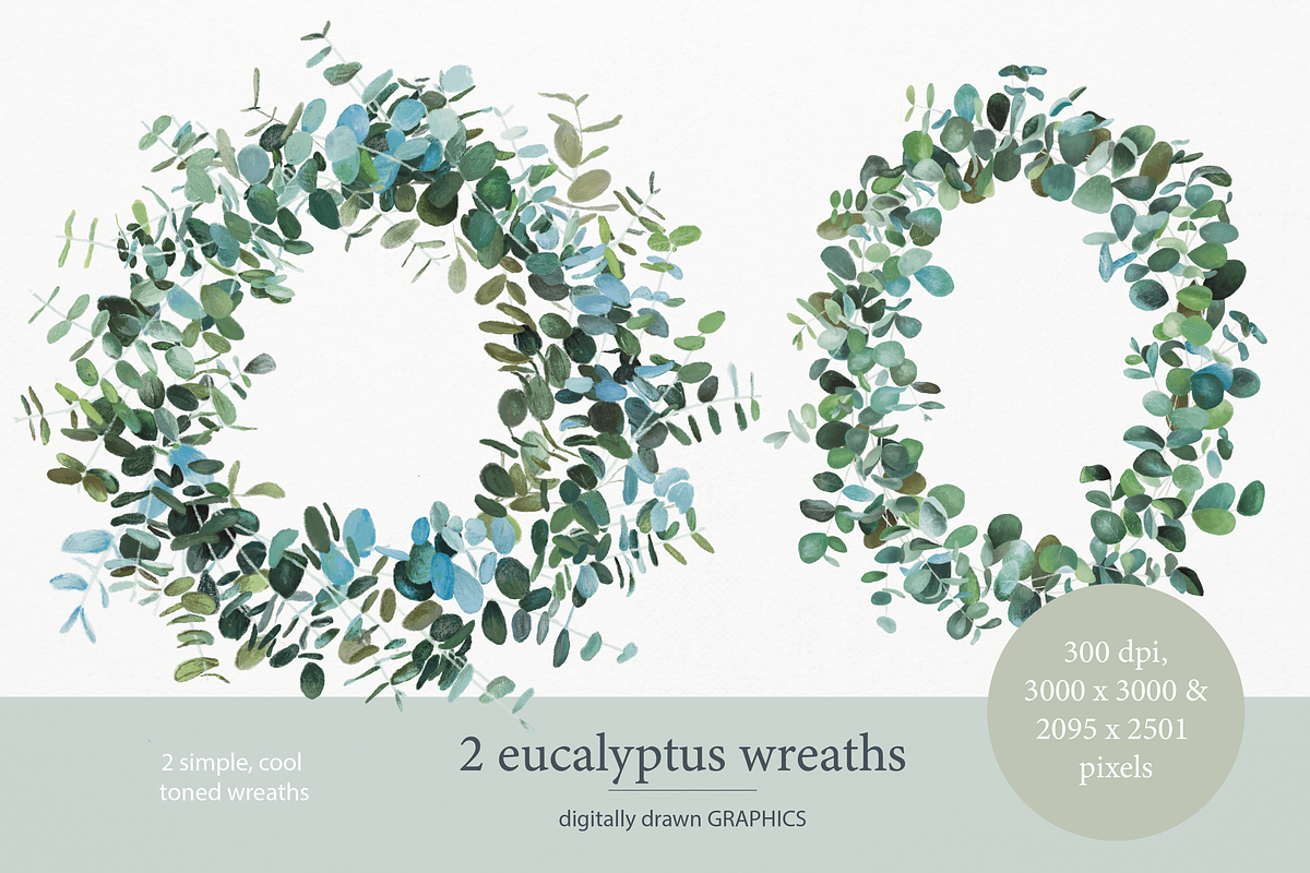 Eucalyptus wreath and branch clipart, an Illustration by michLg designs (Photo 3 of 3)