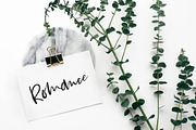 Bestlady Brush Font, a Script Font by Dhan Studio (Thumbnail 7 of 11)