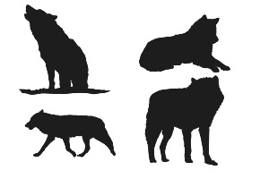 Wolf Silhouettes Set 1 Procreate