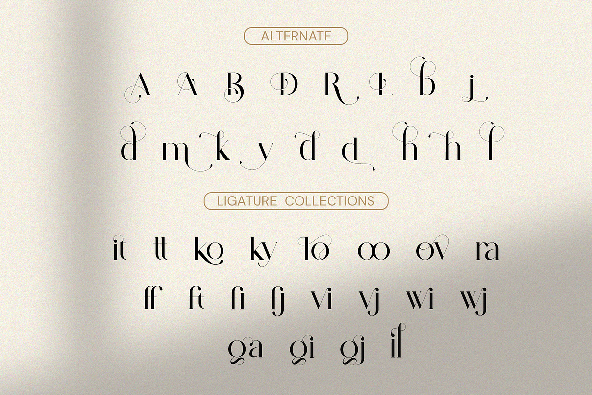 Baginda - Modern Ligature Typeface, a Serif Font by BOOSH Studio (Photo 12 of 14)