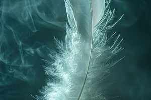 White Feather Floating in Smoky Dark Teal Background, a Background Photo by José Manuel Gelpi