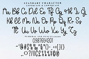 Sunday, a Handwritten Font by FreshTypeINK (Thumbnail 6 of 8)