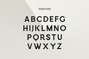 KARLY | Bold Luxury Serif Font, a Sans Serif Font by WhymoreArt (Thumbnail 9 of 10)