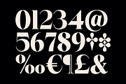 Herald Dongue - Stylish Serif, a Serif Font by Marvadesign (Thumbnail 12 of 12)