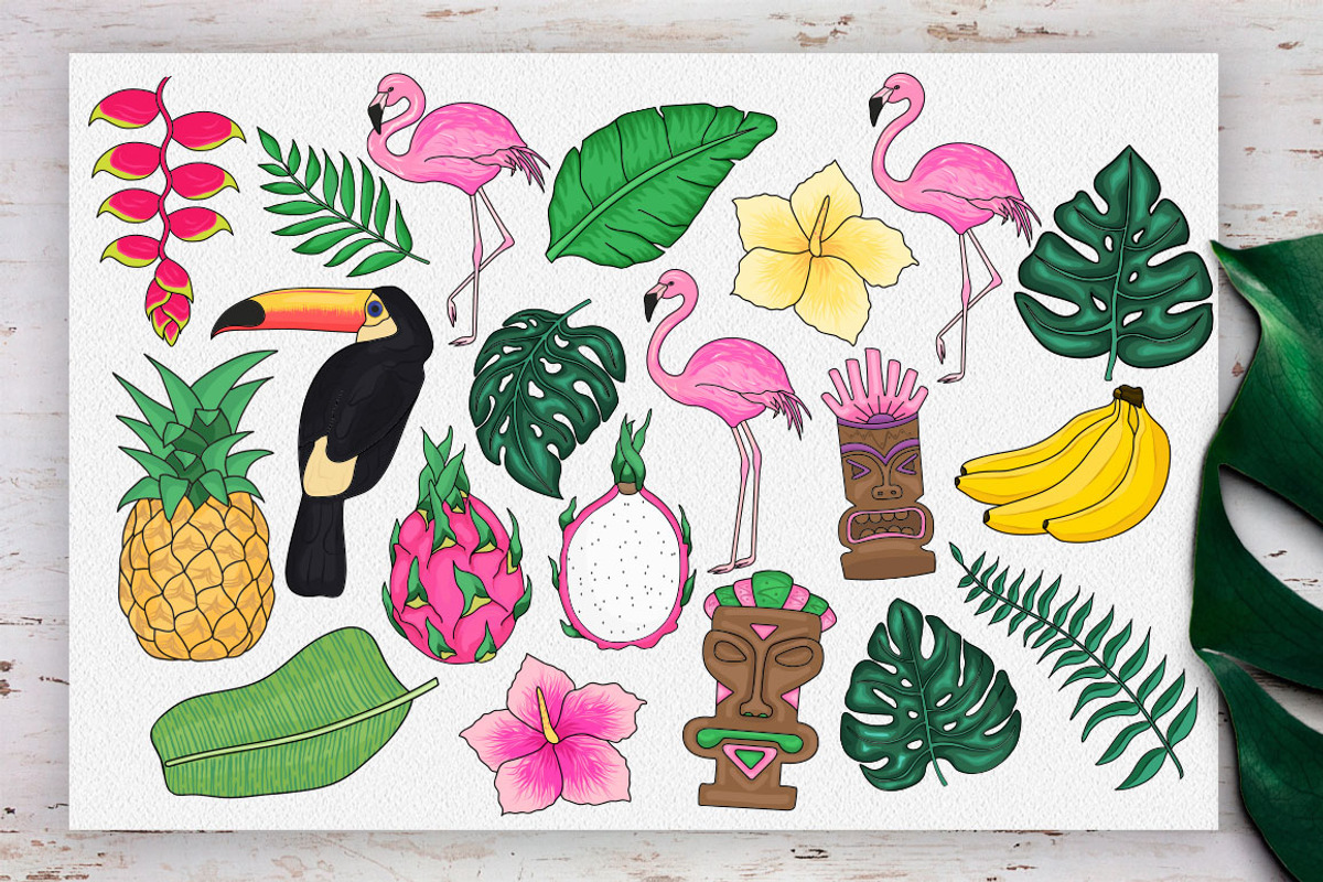 Tropics Forever! Vector set, an Animal Illustration by CallMeStasia (Photo 5 of 7)