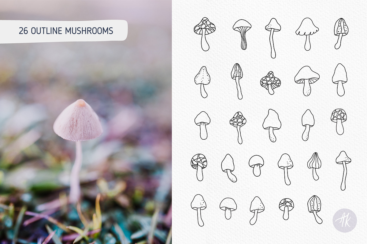 Mystical Mushrooms Clipart Set, an Object Graphic by Alena Koval (Photo 4 of 16)
