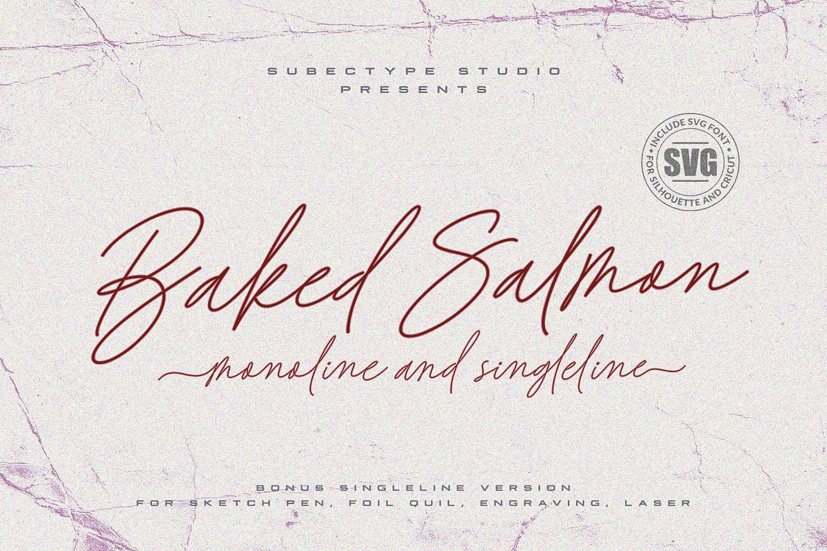 Baked Salmon - Monoline Script Font, a Script Font by Subectype Studio (Photo 1 of 9)