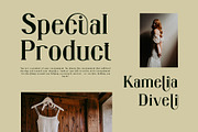 Bragita Ligature Serif Typeface, a Serif Font by Humaira_std (Thumbnail 4 of 9)