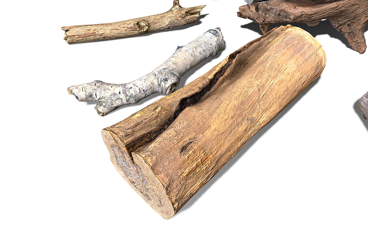 13 Tree Logs, an Environmental 3D Model by Beatheart Creative Studio (Photo 31 of 37)