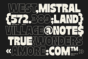 TAN - MAPLE, a Font by TanType (Thumbnail 3 of 11)