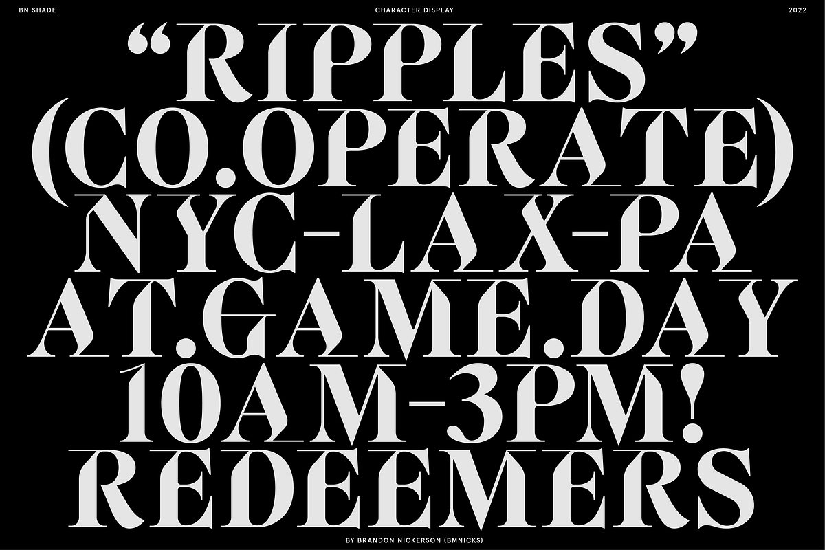 BN Killwit, a Serif Font by Bnick (Photo 2 of 13)