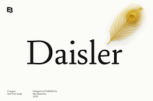 Daisler; 12 Text Serif Font