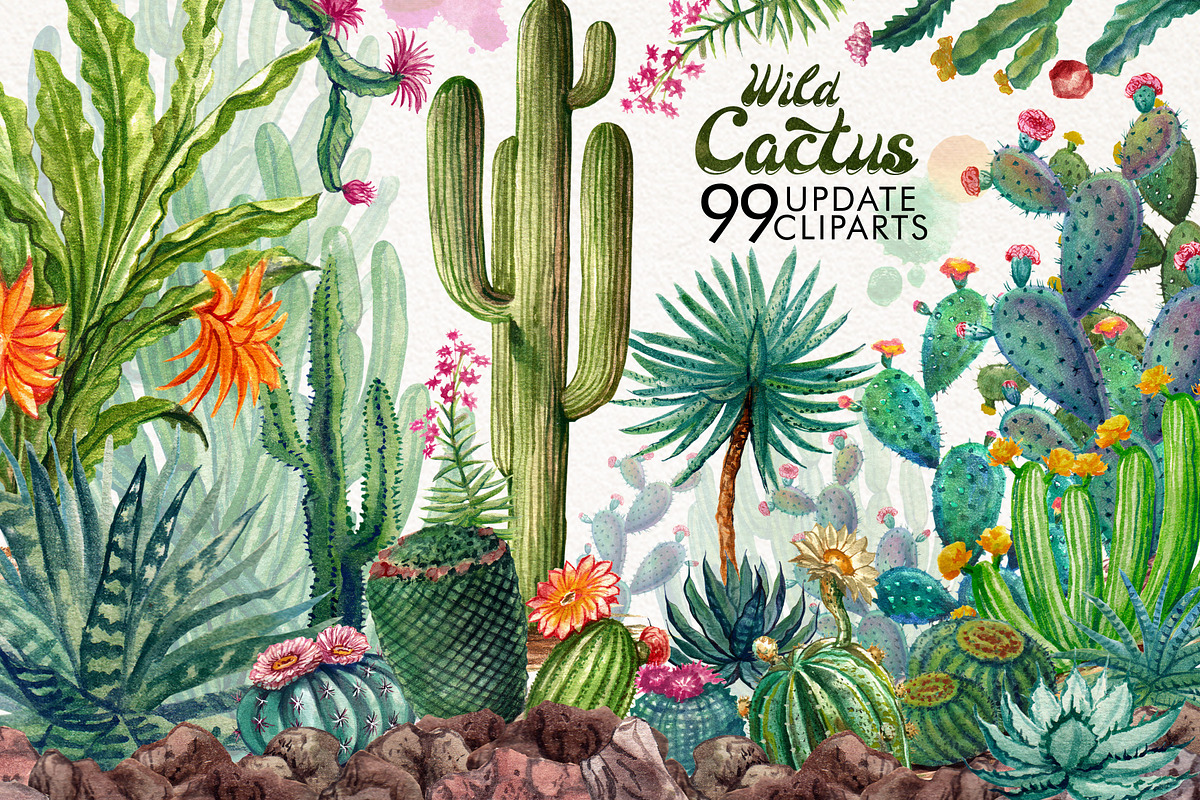 Watercolor Cactuses, an Illustration by Graphobia (Photo 1 of 9)