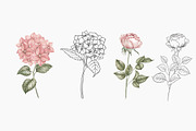 Bouquets roses & hydrangea, an Illustration by Kotkoa (Thumbnail 5 of 8)