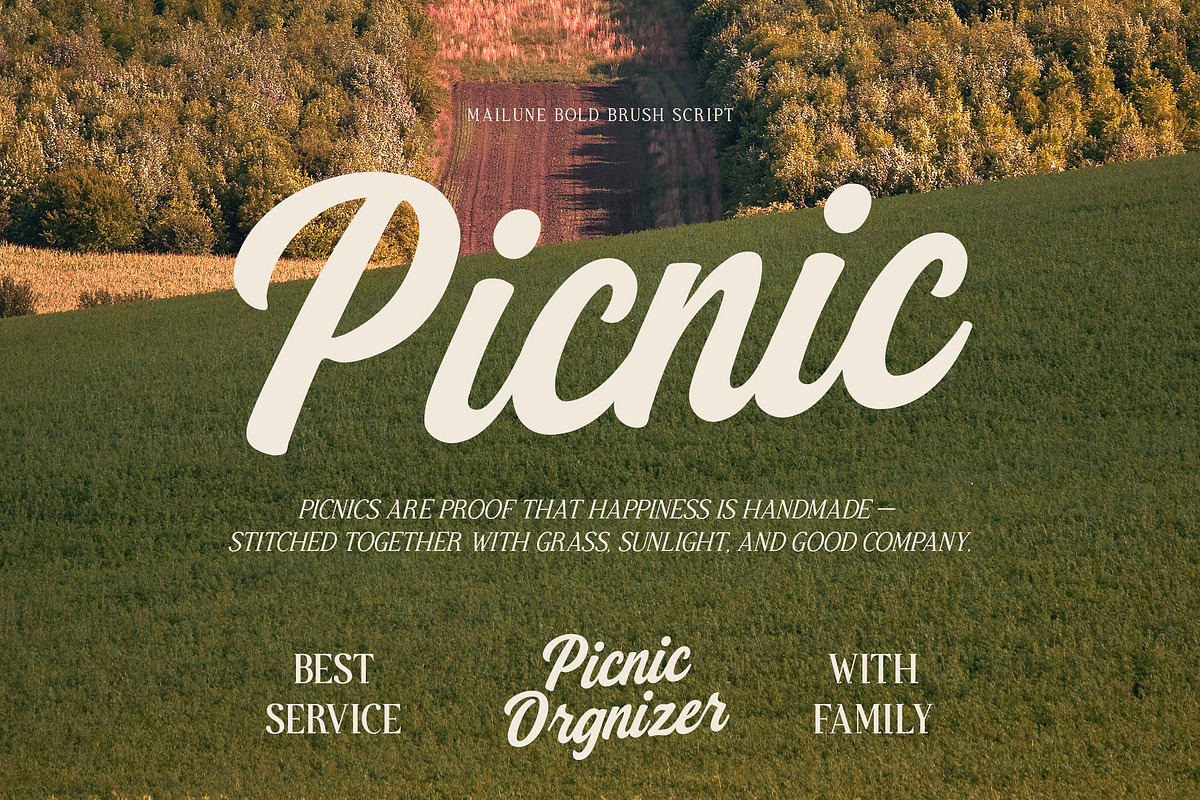 Mailune - Bold Brush Script Font, a Script Font by Youthlabs Studio (Photo 2 of 15)
