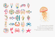 Tropical reef clipart set, a Decorative Illustration by Patishop Art (Thumbnail 3 of 10)