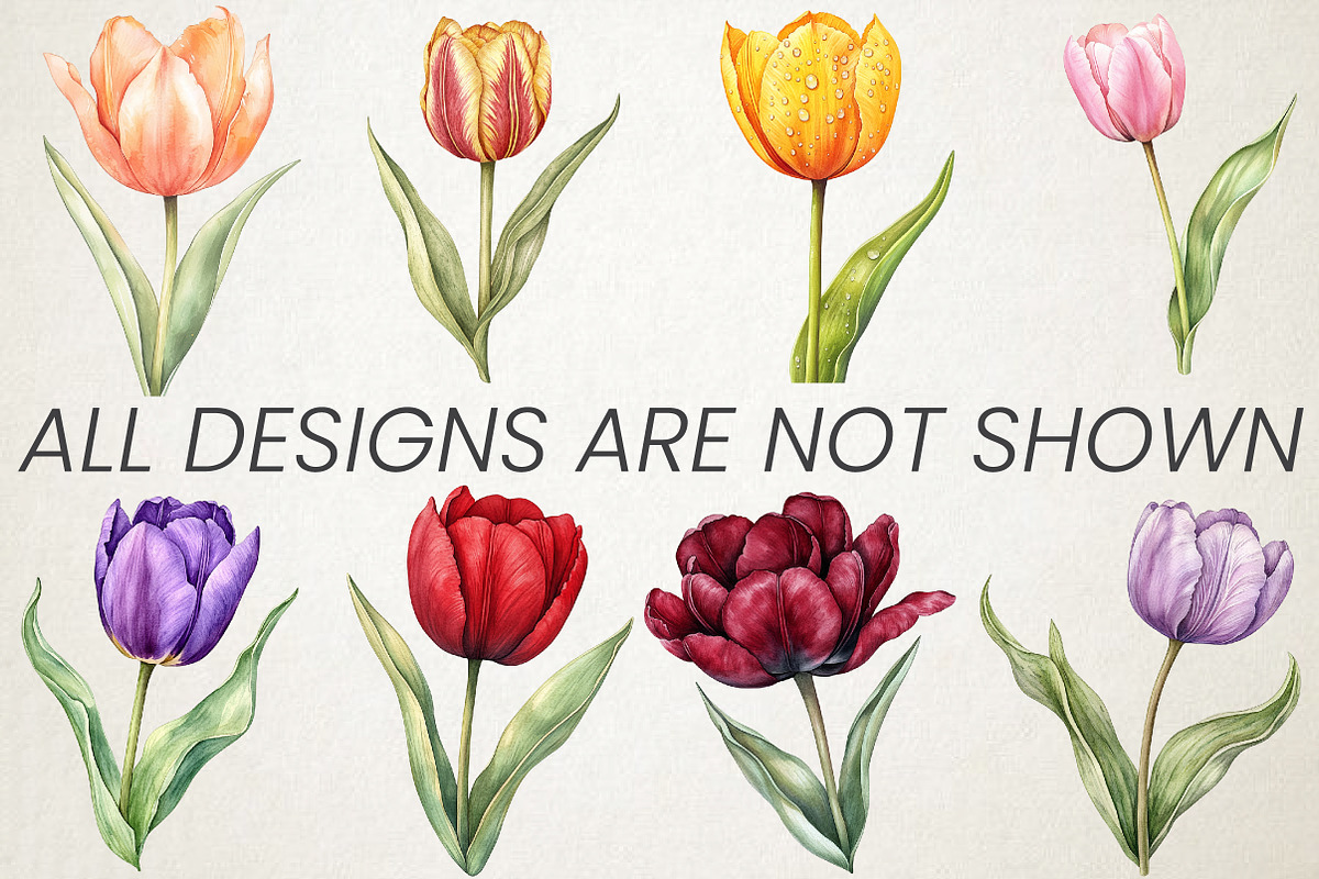 Watercolor Tulip Flower Clipart, an Illustration by RobertsArt (Photo 2 of 5)
