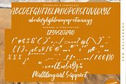 Tropical Crystals Bold Calligraphy, a Script Font by stylishtype.co (Thumbnail 19 of 20)