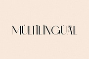 Chic - Elegant & Modern Sans Serif, a Sans Serif Font by Mikhail Fukurou (Thumbnail 13 of 13)