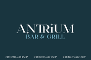 VSOP - elegant serif, 70 fonts, a Serif Font by VP Fonts (Thumbnail 6 of 21)
