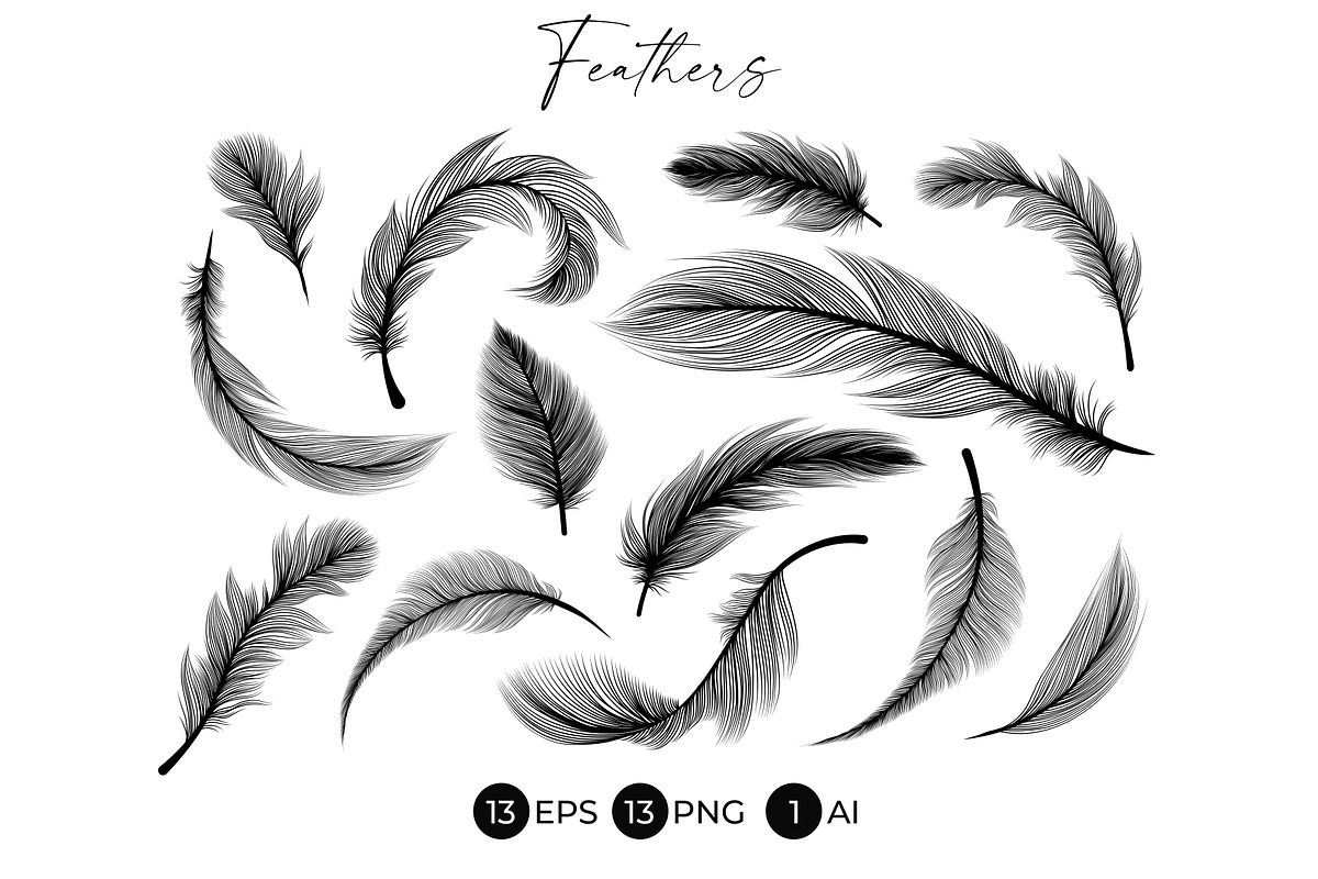 Black Feathers Stencil Boho Line Art, an Illustration by ilonitta (Photo 1 of 6)
