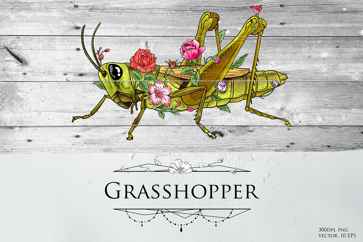 Grasshopper modern illustration, an Illustration by Infinity Creativity (Photo 1 of 4)