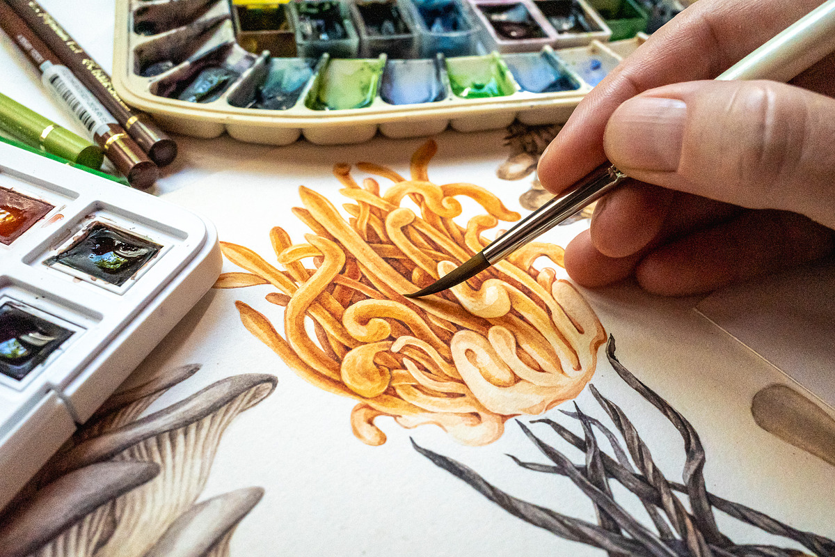 Mushrooms Watercolor Clipart, a Food Illustration by AnitaPol (Photo 4 of 24)