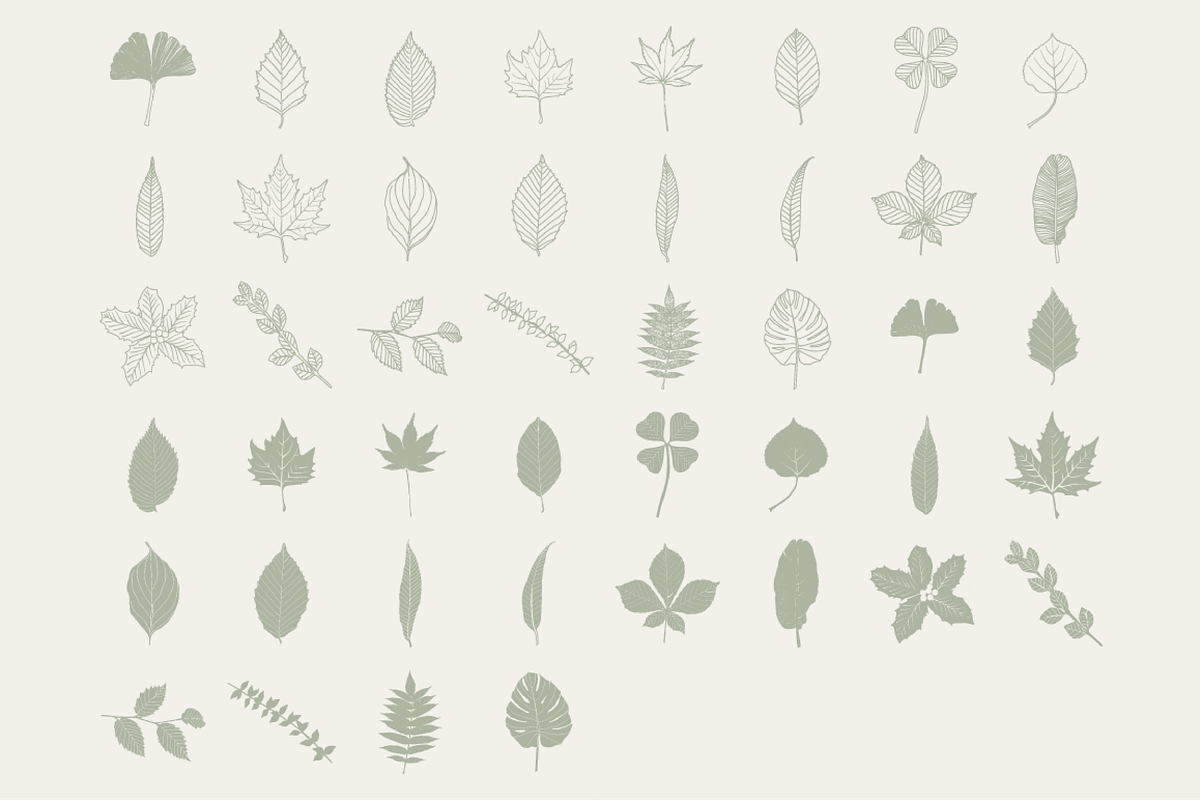 HandDrawn Leaf Library, an Illustration by Linseed Studio (Photo 9 of 9)