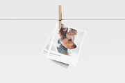 Instant Photo Mockup, a Product Mockup by zpackcreative (Thumbnail 1 of 4)