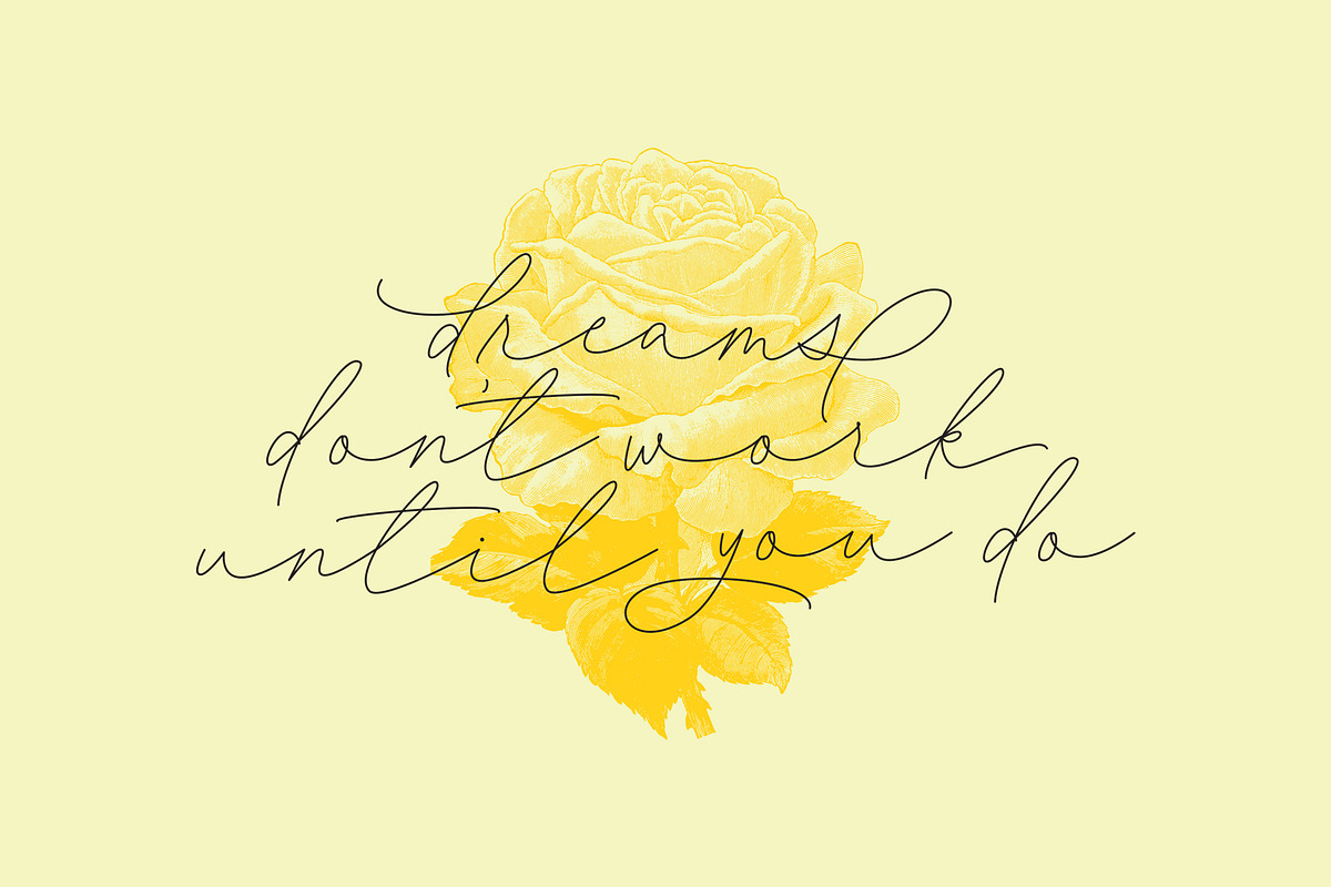 Angelia Font Duo preview 8