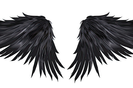 Black Feathered Wings Spread Out , G, a Photo by LOGOCREATIVE