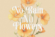 Sophista - Ligature Serif Font, a Serif Font by Almeera Std (Thumbnail 2 of 5)