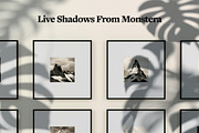 Plant Shadow Backdrops Video Bundle, a Mockup by rebrandy (Thumbnail 12 of 24)