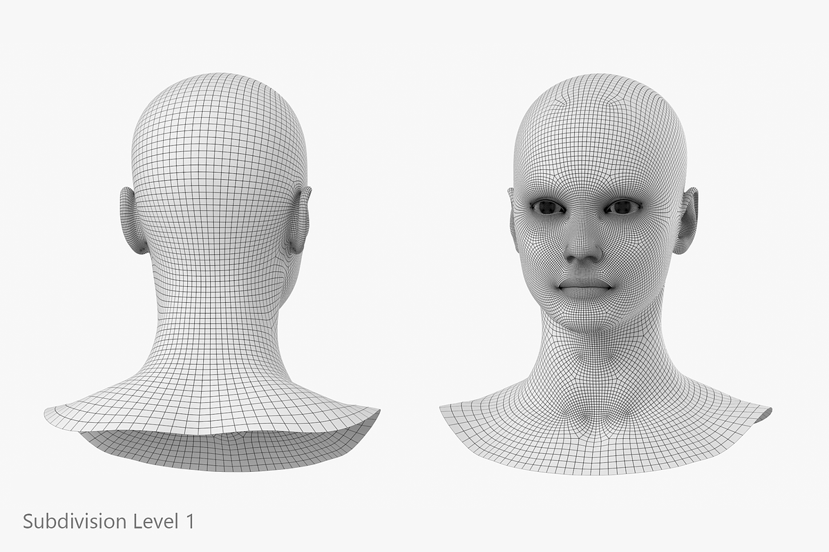 Natural Female Head 01 Generic Mesh, a Characters & Person 3D Model by VK Studio (Photo 13 of 19)