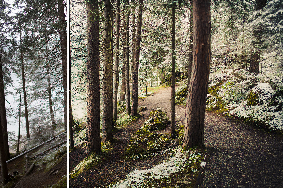 MILLION OF GREEN-Set of 20presets Lr, an Action Add-On by Graphics, Presets, Photos (Photo 2 of 21)