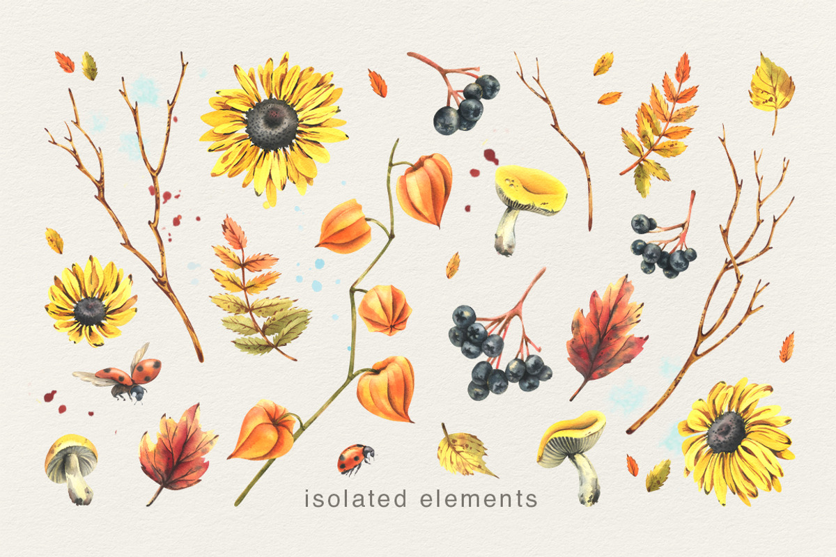 Autumn Botanical Watercolor Isolated, an Illustration by NATASHA CHU (Photo 2 of 5)